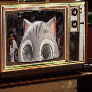 a tv screen shows a cat with big eyes and the time of 77,58
