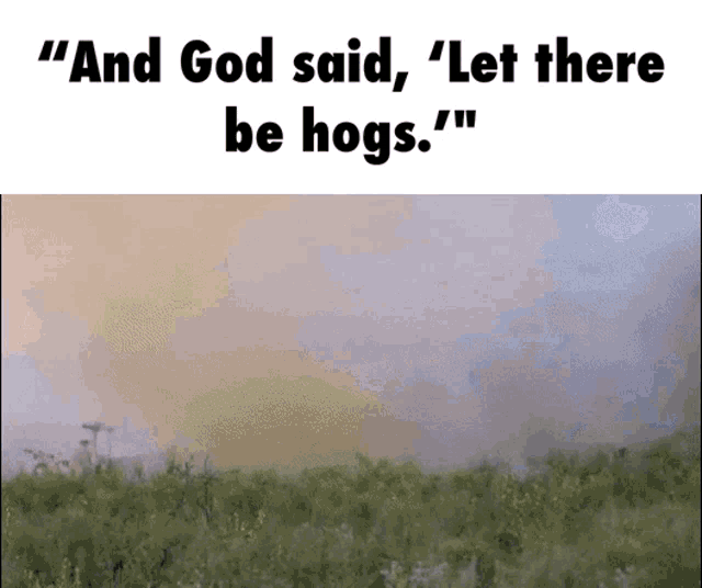 a picture of a field with the words " and god said let there be hogs " below it