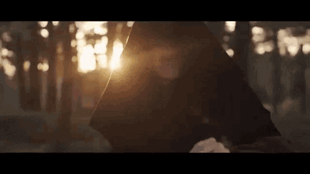 a person in a hooded jacket is holding an umbrella in the woods .