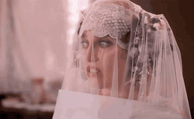 a woman in a wedding dress with a veil covering her head