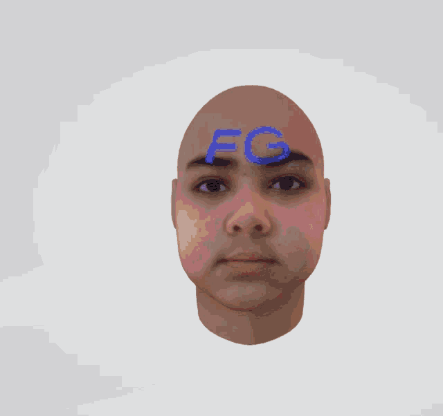 Fg 3d Head GIF - Fg 3d Head 3d Model GIFs