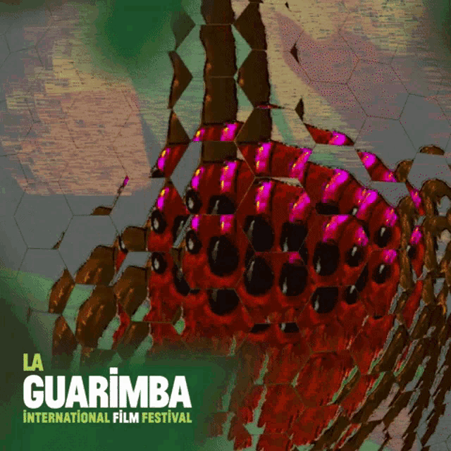 a poster for the la guarimba international film festival shows a colorful background