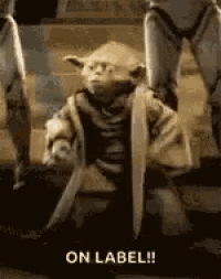 a statue of yoda is holding a sword and shield and says `` on label ! ''