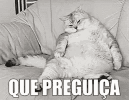 a black and white photo of a fat cat sitting on a couch with the words `` que preguica '' .