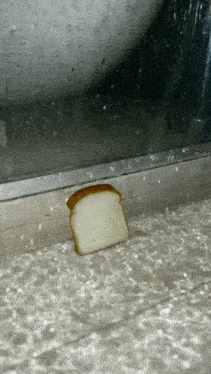 a slice of bread sits in a flooded area