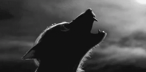 狼人 嚎叫 月光 GIF - Werewolf Moonlight GIFs