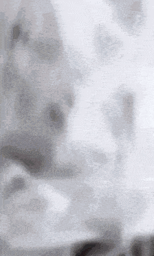 a blurred image of a person 's face with a white background .