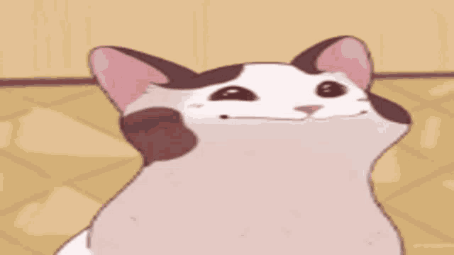 a brown and white cat is looking up at the camera .