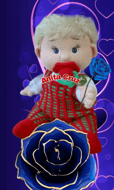 a crocheted doll with a pacifier and the name anita cruz on it