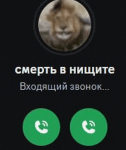 a phone screen with a picture of a lion and the words " смерть в нищите "