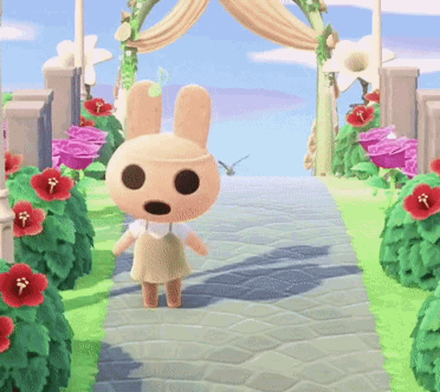 Animal Crossing Coco GIF - Animal Crossing Coco Dancing GIFs