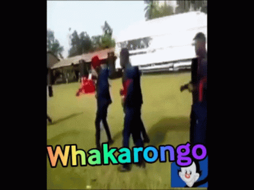 Whakarongo Funeral Dance GIF - Whakarongo Whaka Funeral Dance GIFs