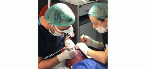 Hair Replacement Operation GIF - Hair Replacement Operation Happy GIFs