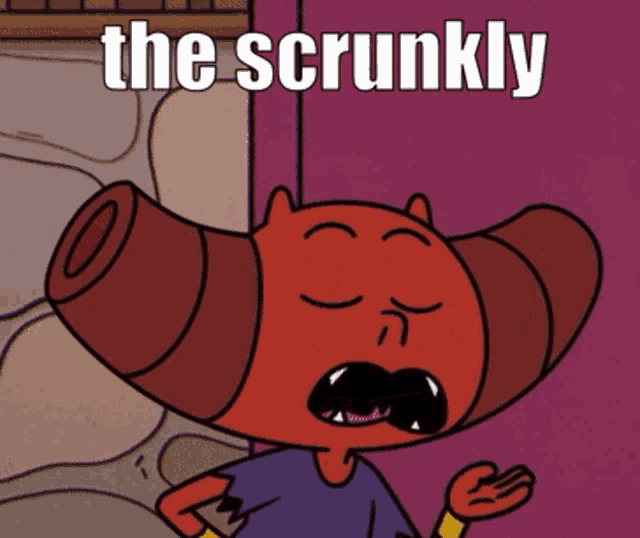 a picture of a cartoon character with the words " the scrunkly " on it