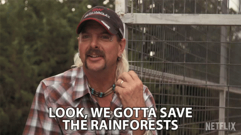 Look We Gotta Save The Rainforests GIF - Look We Gotta Save The Rainforests Conservation GIFs