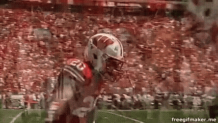 a football player with the number 20 on his helmet is running on the field .