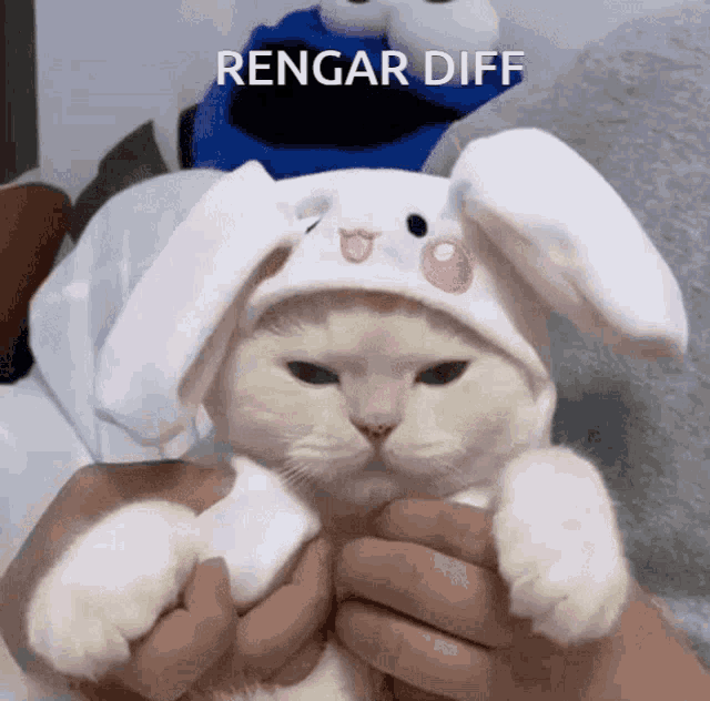 Rengar Rengar League Of Legends GIF - Rengar Rengar League Of Legends Pusi GIFs