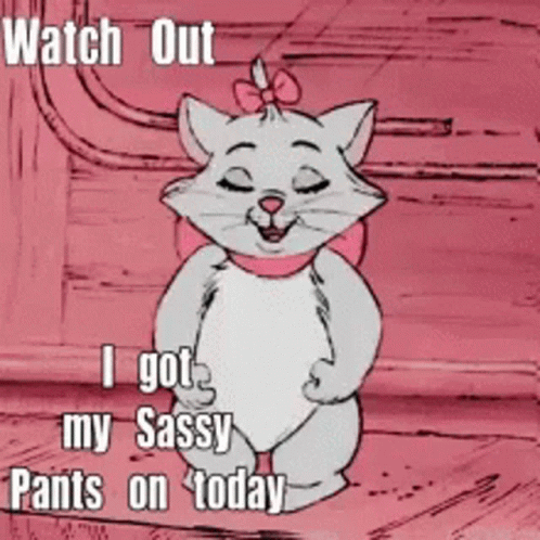 Watch Out Sassy Pants GIF - Watch Out Sassy Pants Cat GIFs