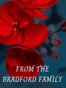 a thank you card with red flowers and the name bradford family