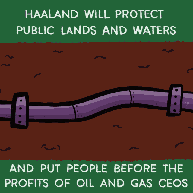 Deb Haaland Haaland Will Protect Public Lands And Waters GIF - Deb Haaland Haaland Will Protect Public Lands And Waters Land GIFs
