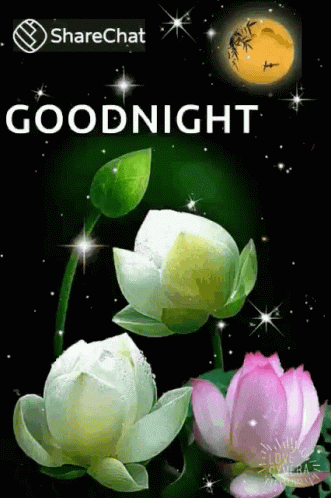 Goodnight Sparkle GIF - Goodnight Sparkle Flower GIFs