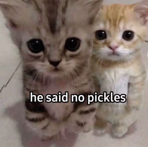 Pickles Cat GIF - Pickles Cat GIFs