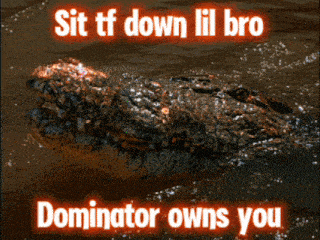 a picture of a crocodile with the words sit tf down lil bro dominator owns you