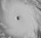 Hurricane Eyeofthestorm GIF - Hurricane Eyeofthestorm GIFs