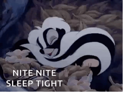 Nite Disney GIF - Nite Disney Sleep Tight GIFs