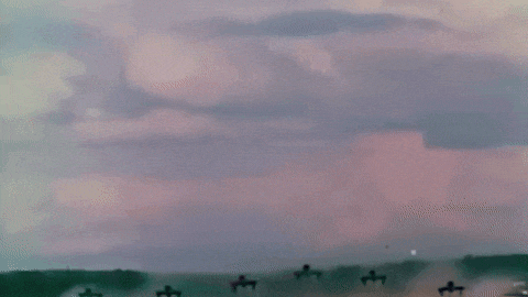 a bunch of planes are flying in the sky