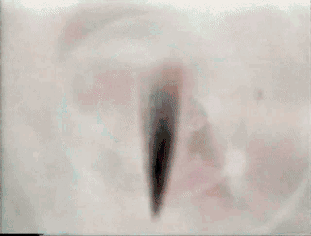 a logo for chilevision is shown on a white background