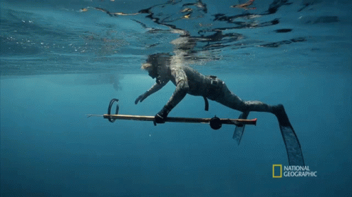 Floating Gordon Ramsay GIF - Floating Gordon Ramsay Gordon Ramsay Learns To Spearfish GIFs