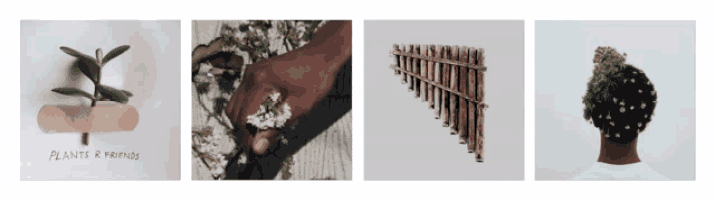 a collage of four pictures with the words " plants & friends " on the bottom