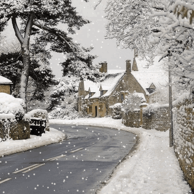 snow is falling on a road in a village