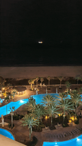 a large swimming pool surrounded by palm trees and a beach at night