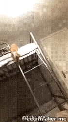 a cat is sitting on top of an ironing board in a laundry room .
