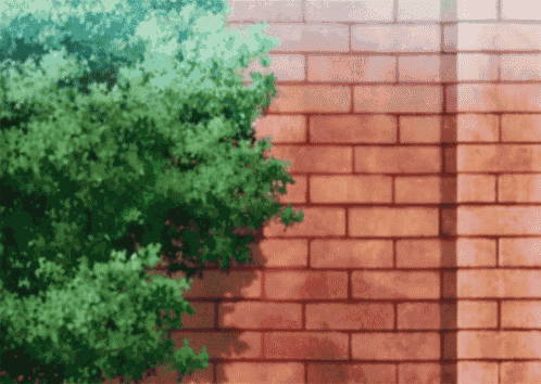 a brick wall with a tree growing on it