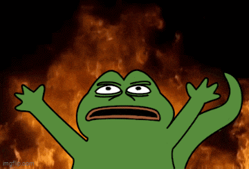 a frog with its arms outstretched in front of a fire with imgflip.com at the bottom