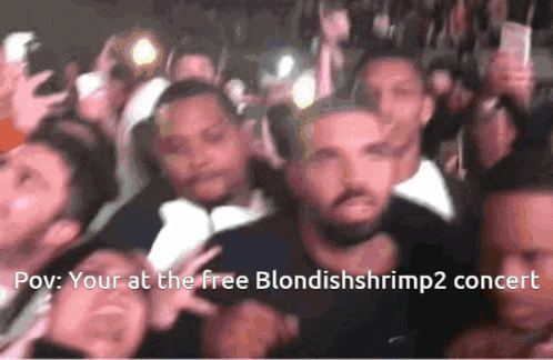 a crowd of people with the words " your at the free blondish shrimp2 concert " at the top