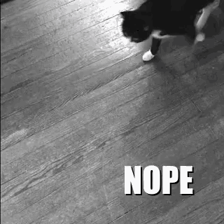 a black and white photo of a cat walking on a wooden floor with the word nope written below it