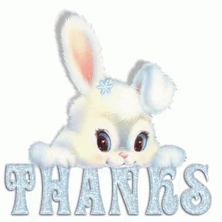 Bunny Thanks GIF - Bunny Thanks Thank You GIFs