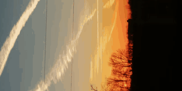 a sunset with a tree in the foreground