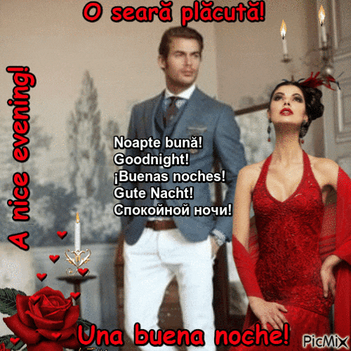 a man in a suit and tie stands next to a woman in a red dress on a poster that says a nice evening