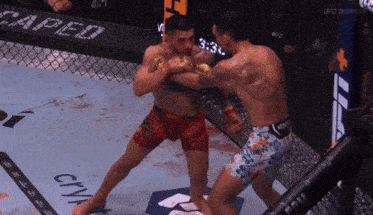 two men are fighting in a boxing ring and one has a ufc logo on his arm