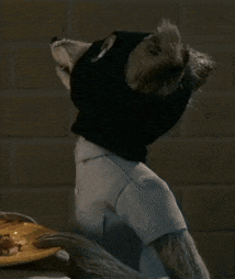 a stuffed animal with a cat 's head is sitting in front of a plate of food