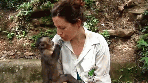 Monkey Feed You GIF - Mouth Open Wide Lol GIFs