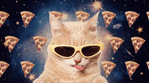 a cat wearing sunglasses is surrounded by pizza slices in space