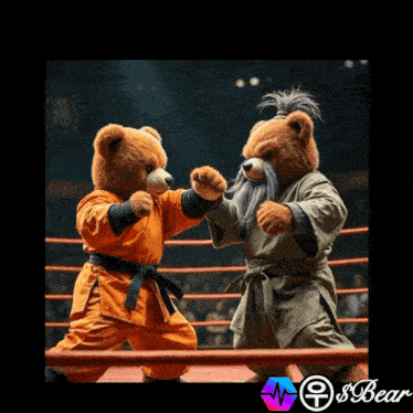 two teddy bears in karate uniforms are fighting in a boxing ring with the word bear on the bottom