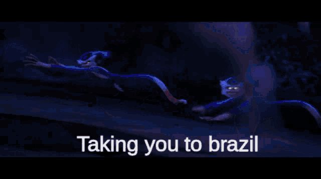 a blue background with the words " taking you to brazil "
