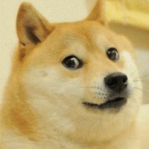 Doge Singh GIF - Doge Singh GIFs